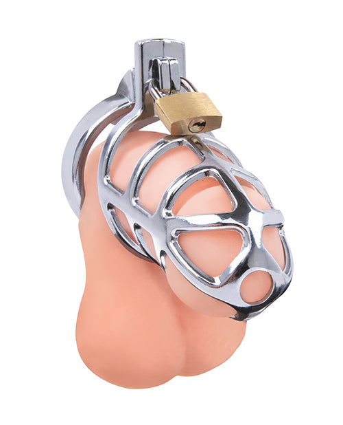 Lockmaster 3.75 & Stainless Steel Prisoner Cock Cage - Silver