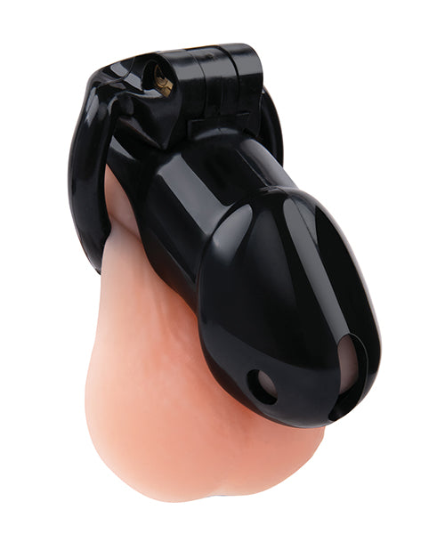 Lockmaster 4 & Resin Cock Cage - Black