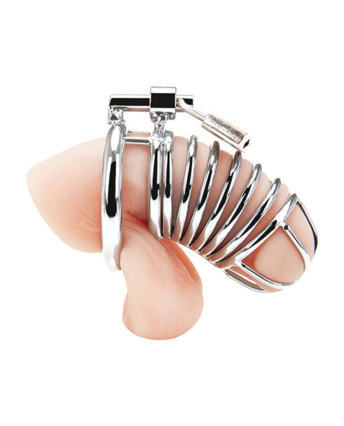 Blue Line Deluxe Chastity Cage - Silver