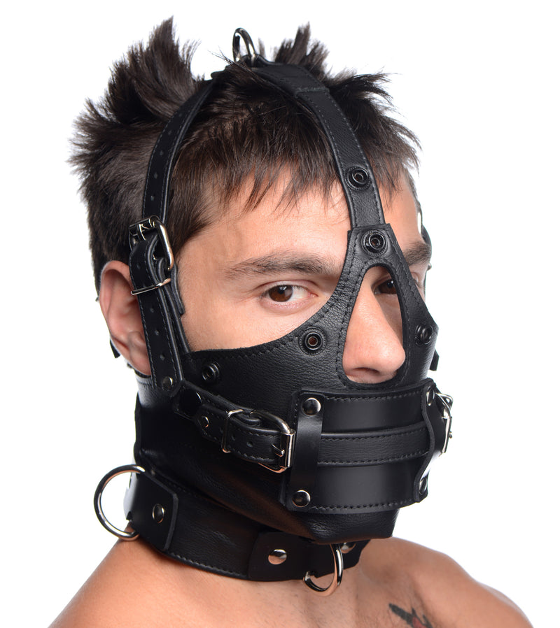 Leather Head Harness with Removeable Gag