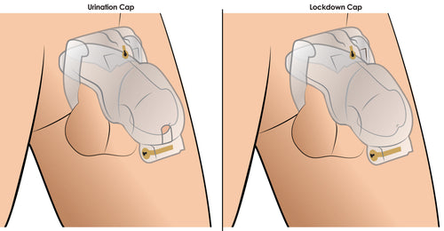 Lockdown Customizable Chastity Cage - Clear