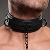 Collared Temptress Collar with Nipple Clamps