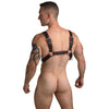 Heathen's Male Body Harness - S/M