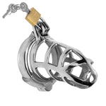 Detained Stainless Steel Chastity Cage