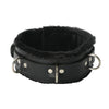 Strict Leather Premium Fur Lined Locking Collar- XL