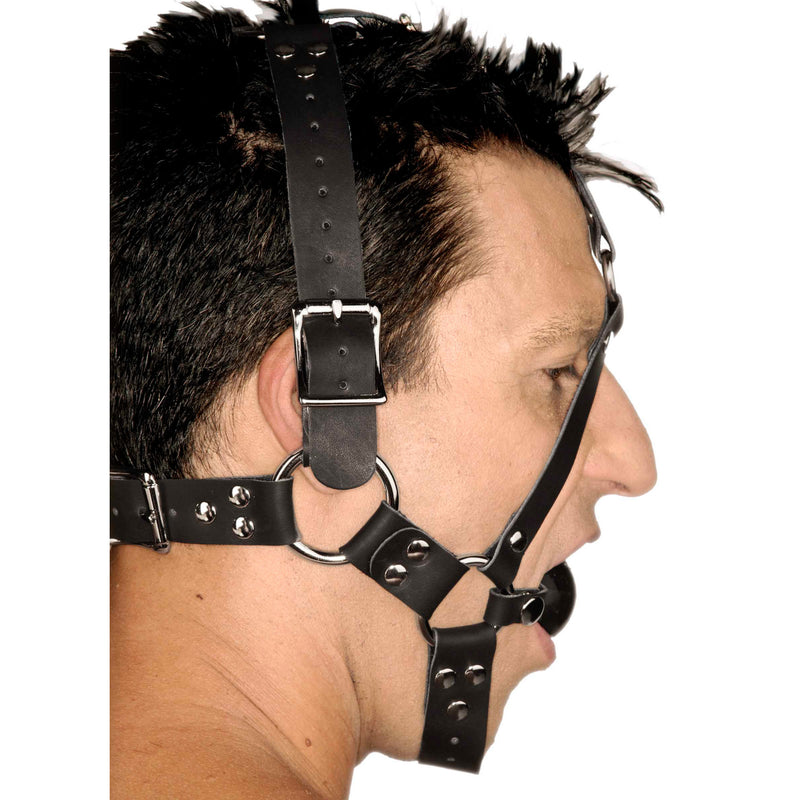 Leather Ball Gag Harness